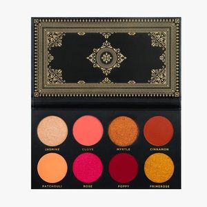 Ace beaute grandiose eyeshadow palette